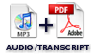 MP3 Audio Plus Full Transcript Workbook